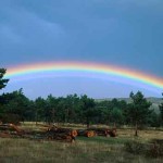 El hombre que construyó el arcoíris